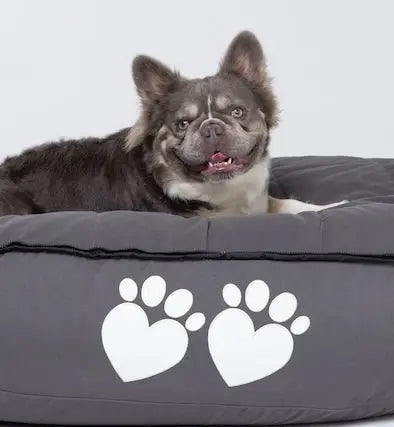 Ultimate Dog Bed Large - Bean Bags R Us