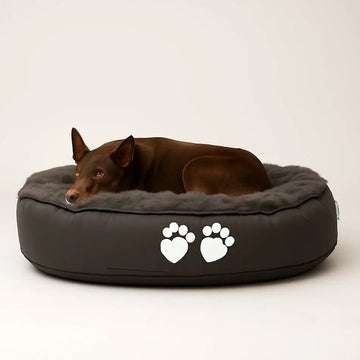 Dog lying on a gray pet bed with paw prints on a white background